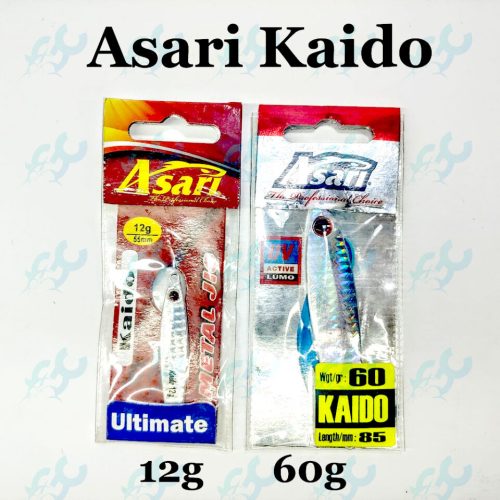 Asari Kaido 12g, 60g Metal Jig Lure – Goodcatch Fishingbuddy