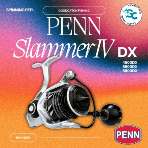 PENN Slammer 4 DX Slammer® IV DX Spinning Saltwater Fishing Reel