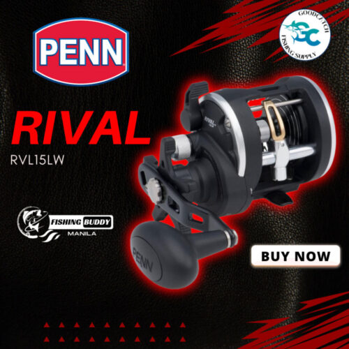 Penn Rival 15LW Level Wind Conventional Reel RIV15LW