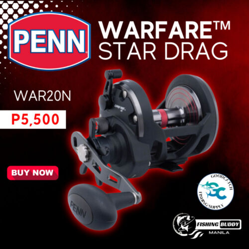 Penn Warfare™ Star Drag Conventional Reel WAR20N