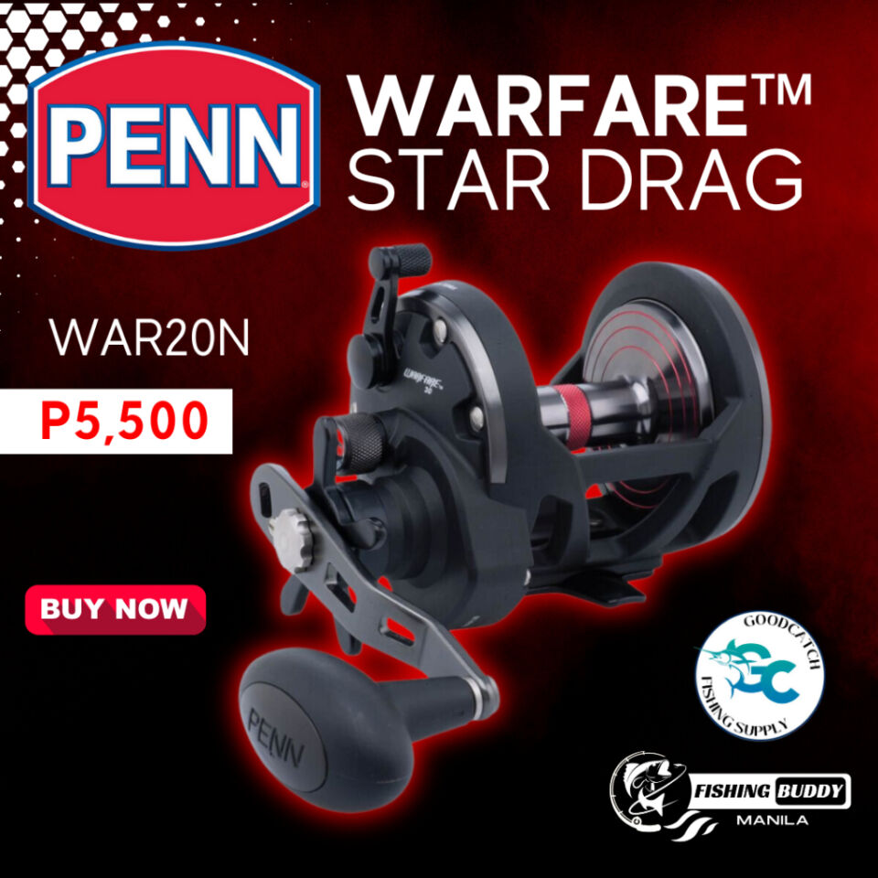 Penn WAR30LW2050C66 Warfare Sz30 Combo 15# Max Drag 315yds 20