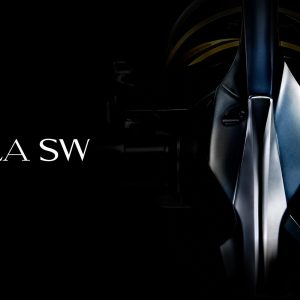 Shimano Stella SW-D Spinning Reels 2025 MODEL